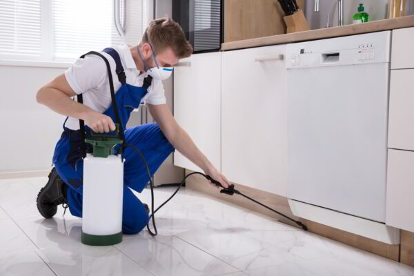 5 Tips On How To Find The Best Pest Control Services Company