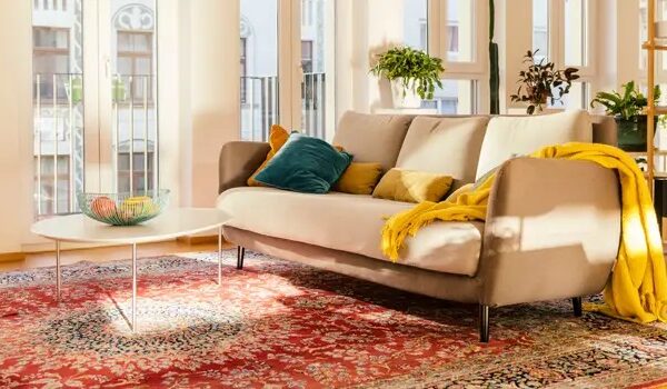 How to choose the right carpet for your home?
