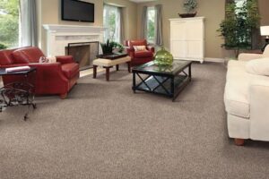 Variety of Wall-to-Wall Carpets for your place