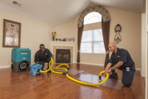 Mastering the Art of Water Damage Cleanup in Oak Harbor