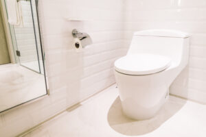 The Benefits of Setting Up a Smart Toilet