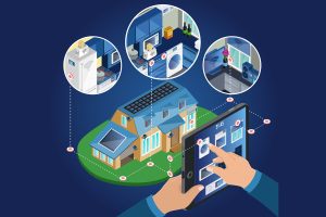 Nature’s Blueprint: What Termites and Ants Teach Us About Smart Building Solutions