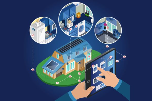 Nature’s Blueprint: What Termites and Ants Teach Us About Smart Building Solutions