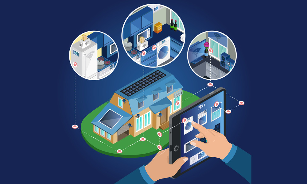 Nature’s Blueprint: What Termites and Ants Teach Us About Smart Building Solutions