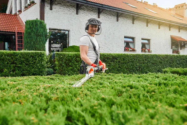 The Complete Guide to Landscaping Permits and Council Approvals