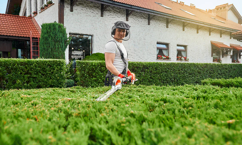 The Complete Guide to Landscaping Permits and Council Approvals