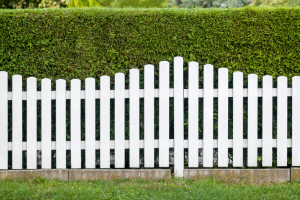 Expert Fence Staining Delivering Even Coverage And Distinct Outdoor Refinement