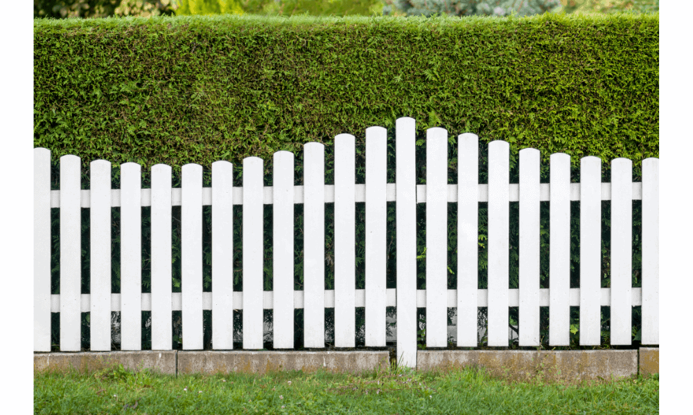 Expert Fence Staining Delivering Even Coverage And Distinct Outdoor Refinement