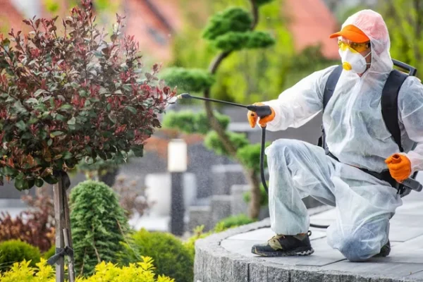 Winter Garden Pest Woes: Get Help from a Professional Exterminator