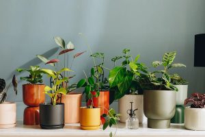 Upgrade Your Garden Affordably with Multi-Sized and Textured Pot Collections