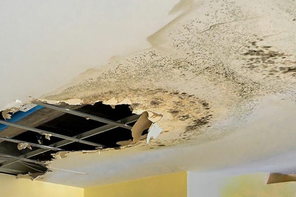 Ceiling Leakage Repair: Fast, Effective Fixes to Stop Water Damage