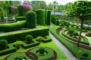 A Complete Guide to Luxury Landscape Design for Modern Homes